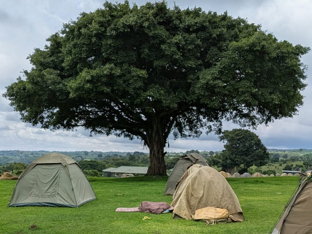 PXL_20260221_104243316~2