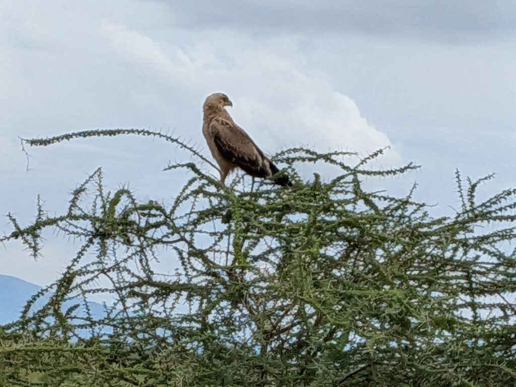 PXL_20260221_123437437~2