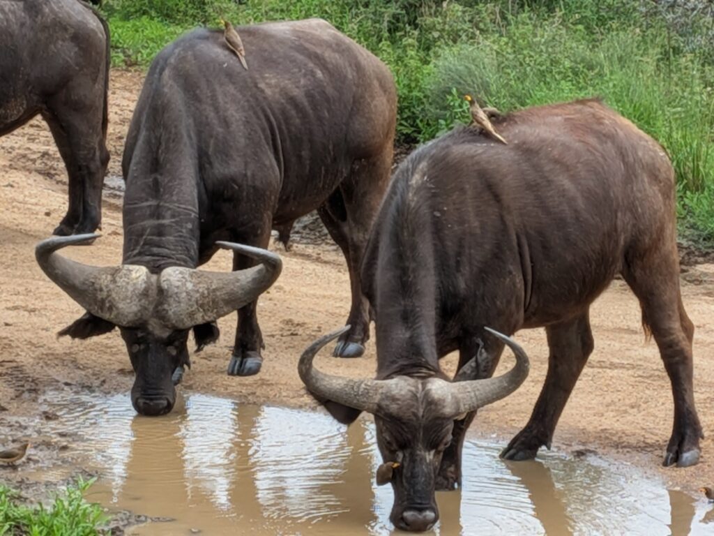 PXL_20260222_082912539~2