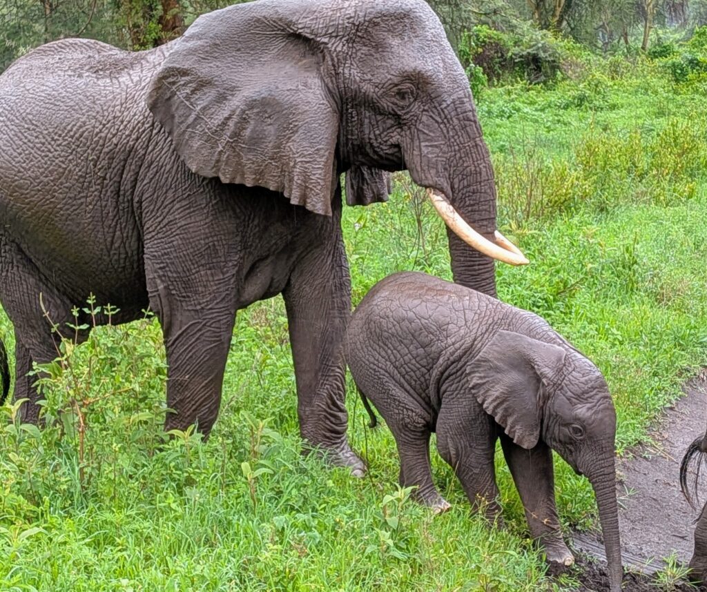 PXL_20260223_053211547~2