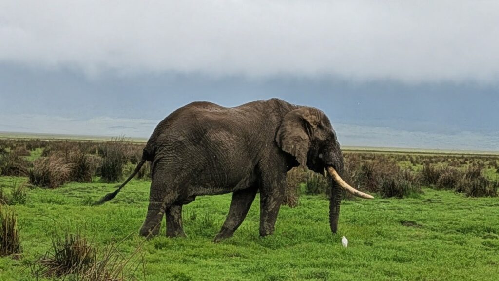 PXL_20260223_065519422~2