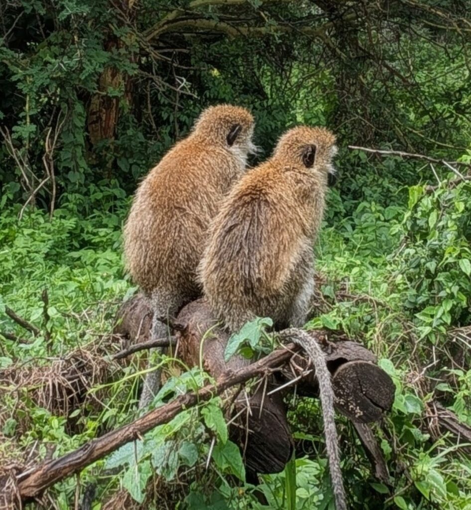 PXL_20260223_084144655~2