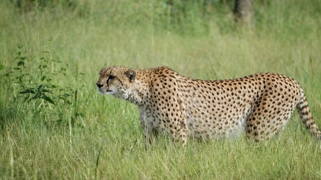 file_00000000e9f0720c9e020b2b834a1491~2